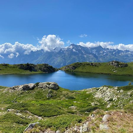 Chalet La Perle De L'Oisans - Appartements D'Exception Вожані Екстер'єр фото